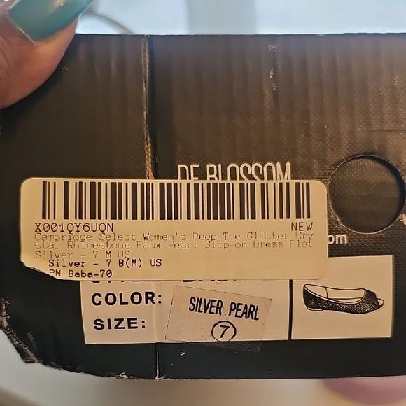 De Blossom Collection Glittering Silver Flats - Picture 16 of 16